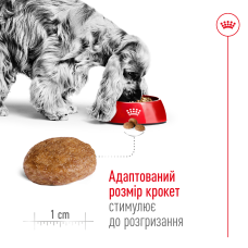 Корм для взрослых собак средних пород ROYAL CANIN MEDIUM ADULT 7+ (от 7 лет) 15 кг