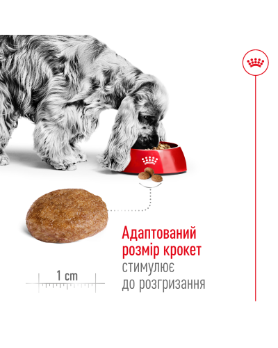 Корм для дорослих собак середніх порід віком ROYAL CANIN MEDIUM ADULT 7+ (від 7 років) 4 кг