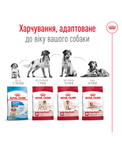 Корм для дорослих собак середніх порід віком ROYAL CANIN MEDIUM ADULT 7+ (від 7 років) 4 кг