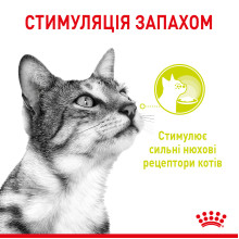 Влажный корм для взрослых кошек ROYAL CANIN SENSORY MULTIPACK GRAVY, 12 паучей
