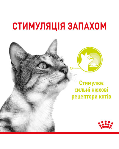 Вологий корм для дорослих котів ROYAL CANIN SENSORY MULTIPACK GRAVY, 12 паучів