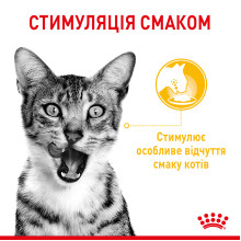 Влажный корм для взрослых кошек ROYAL CANIN SENSORY MULTIPACK GRAVY, 12 паучей