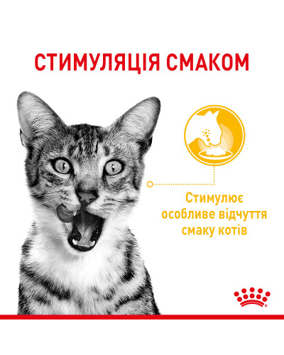 Вологий корм для дорослих котів ROYAL CANIN SENSORY MULTIPACK GRAVY, 12 паучів