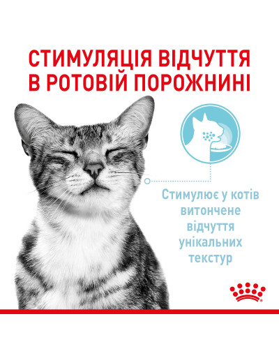 Вологий корм для дорослих котів ROYAL CANIN SENSORY MULTIPACK GRAVY, 12 паучів