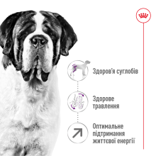 Корм для дорослих собак гігантських порід ROYAL CANIN GIANT ADULT 15 кг