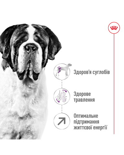 Корм для дорослих собак гігантських порід ROYAL CANIN GIANT ADULT 15 кг