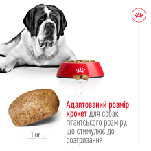Корм для дорослих собак гігантських порід ROYAL CANIN GIANT ADULT 15 кг
