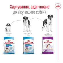 Корм для дорослих собак гігантських порід ROYAL CANIN GIANT ADULT 15 кг