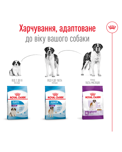 Корм для дорослих собак гігантських порід ROYAL CANIN GIANT ADULT 15 кг