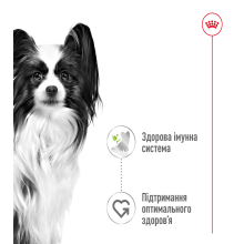 Вологий корм для дорослих собак ROYAL CANIN XSMALL ADULT IN GRAVY 85 г