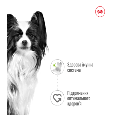 Вологий корм для дорослих собак ROYAL CANIN XSMALL ADULT IN GRAVY 85 г