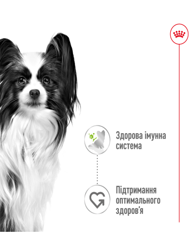 Вологий корм для дорослих собак ROYAL CANIN XSMALL ADULT IN GRAVY 0.085 кг