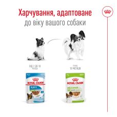 Вологий корм для дорослих собак ROYAL CANIN XSMALL ADULT IN GRAVY 85 г