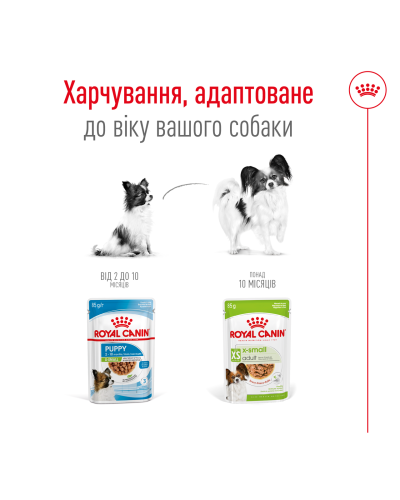 Вологий корм для дорослих собак ROYAL CANIN XSMALL ADULT IN GRAVY 0.085 кг