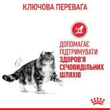 Вологий корм для дорослих котів ROYAL CANIN URINARY CARE 85 г