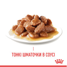 Вологий корм для дорослих котів ROYAL CANIN URINARY CARE 85 г