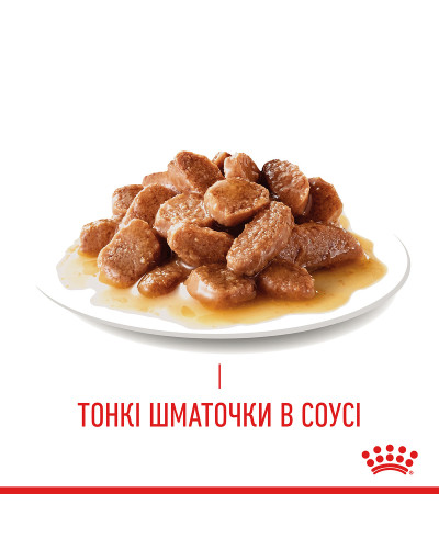 Вологий корм для дорослих котів ROYAL CANIN HAIRBALL CARE 85 г