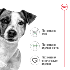 Корм для взрослых собак малых пород ROYAL CANIN MINI ADULT 2 кг