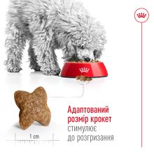 Корм для взрослых собак малых пород ROYAL CANIN MINI ADULT 2 кг