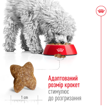 Корм для взрослых собак малых пород ROYAL CANIN MINI ADULT 2 кг