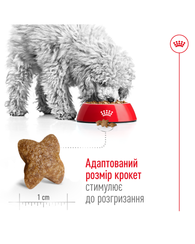 Корм для дорослих собак малих порід ROYAL CANIN MINI ADULT 2 кг