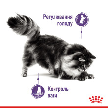 Влажный корм для взрослых кошек ROYAL CANIN LIGHT WEIGHT CARE кусочки в соусе 85 г, от набора лишнего веса