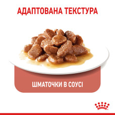 Вологий корм для дорослих котів ROYAL CANIN LIGHT WEIGHT CARE шматочки в соусі 85 г,  від набору зайвої ваги
