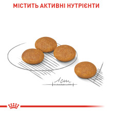 Корм для собак малых размеров со склонностью к раздражению/зуду кожи ROYAL CANIN MINI DERMACOMFORT 3 кг