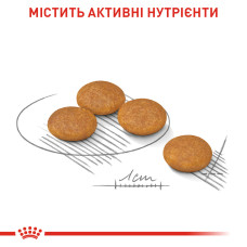 Корм для собак малых размеров со склонностью к раздражению/зуду кожи ROYAL CANIN MINI DERMACOMFORT 3 кг