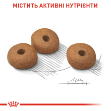 Корм для собак малых размеров со склонностью к лишнему весу ROYAL CANIN MINI LIGHT WEIGHT CARE 3 кг