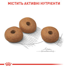 Корм для собак малых размеров со склонностью к лишнему весу ROYAL CANIN MINI LIGHT WEIGHT CARE 3 кг