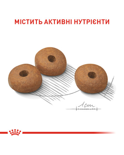 Корм для собак малих розмірів зі схильністю до зайвої ваги ROYAL CANIN MINI LIGHT WEIGHT CARE 3 кг