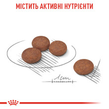 Корм для собак малих розмірів із чутливою системою травлення ROYAL CANIN MINI DIGESTIVE CARE 3 кг