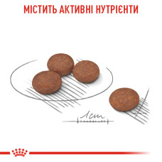 Корм для собак малых размеров с чувствительной пищеварительной системой ROYAL CANIN MINI DIGESTIVE CARE 3 кг