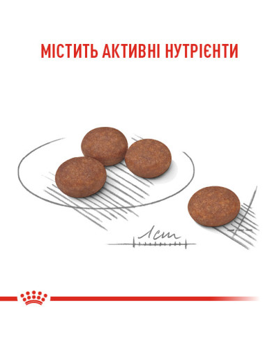 Корм для собак малых размеров с чувствительной пищеварительной системой ROYAL CANIN MINI DIGESTIVE CARE 3 кг