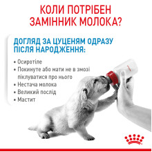 Молоко для новорожденных собак ROYAL CANIN BABYDOG MILK 2 кг