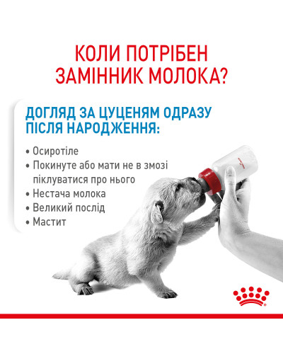 Молоко для новорожденных собак ROYAL CANIN BABYDOG MILK 2 кг