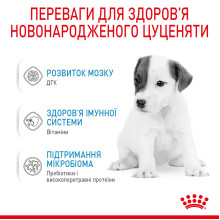 Молоко для новорожденных собак ROYAL CANIN BABYDOG MILK 2 кг