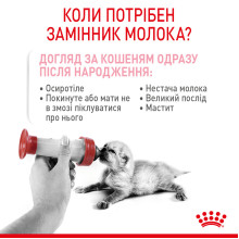 Молоко для новорожденных котят ROYAL CANIN BABYCAT MILK 300 г