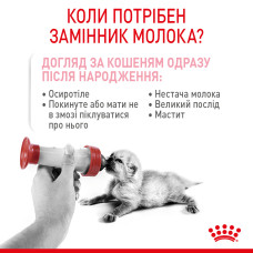 Молоко для новонароджених кошенят ROYAL CANIN BABYCAT MILK 300 г