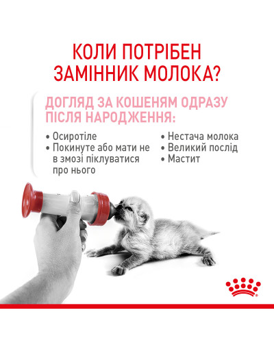 Молоко для новонароджених кошенят ROYAL CANIN BABYCAT MILK 300 г