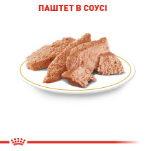 Вологий корм для дорослих собак породи Пудель ROYAL CANIN POODLE LOAF 85 г