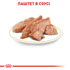 Вологий корм для дорослих собак породи Пудель ROYAL CANIN POODLE LOAF 85 г