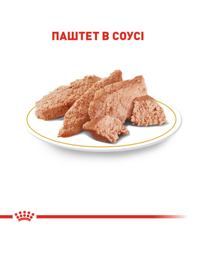 Вологий корм для дорослих собак породи Пудель ROYAL CANIN POODLE LOAF 0.085 г