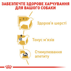 Вологий корм для дорослих собак породи Пудель ROYAL CANIN POODLE LOAF 85 г
