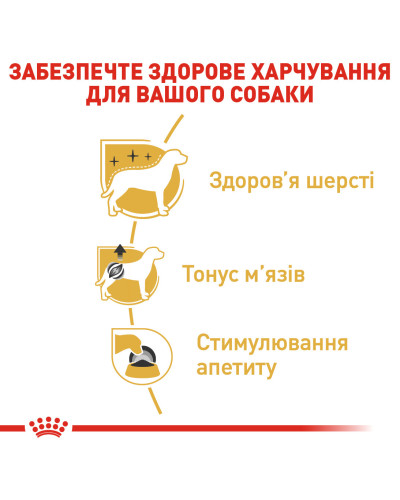 Вологий корм для дорослих собак породи Пудель ROYAL CANIN POODLE LOAF 0.085 г