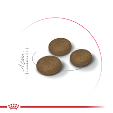 Корм для котів ROYAL CANIN EXIGENT FUSSY 400 г, з вибагливим апетитом