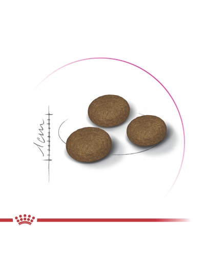 Корм для котів ROYAL CANIN EXIGENT FUSSY 400 г, з вибагливим апетитом
