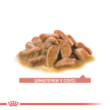 Влажный корм для пожилых кошек ROYAL CANIN AGEING 11+(от 11 лет) 85 г