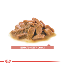 Вологий корм для літніх котів ROYAL CANIN AGEING 11+(від 11 років) 85 г